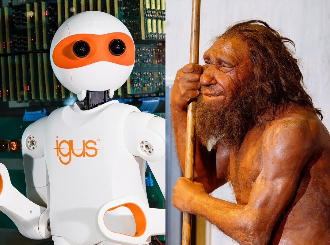 Per Online-Führung geht es durch die Ausstellung. Foto: Neanderthal-Museum