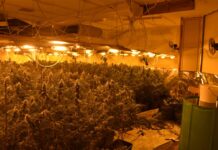 Die Plantage in Remscheid erstreckte sich in dem Haus über mehrere Räume. Foto: Polizei