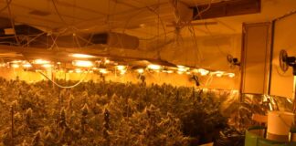 Die Plantage in Remscheid erstreckte sich in dem Haus über mehrere Räume. Foto: Polizei