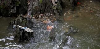 Kleine Bäche oder Flüsse könnten bei großen Regenmengen über die Ufer treten. Foto: Volkmann