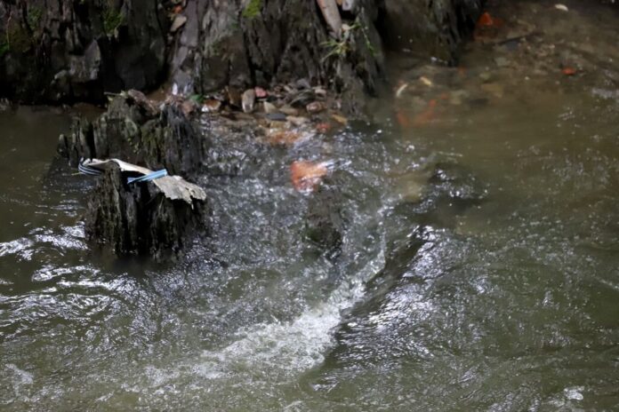 Kleine Bäche oder Flüsse könnten bei großen Regenmengen über die Ufer treten. Foto: Volkmann
