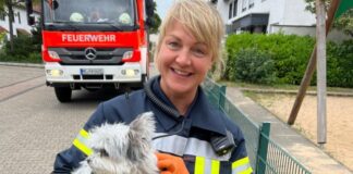 Hündin Lilli wurde von der Feuersehr gerettet und später in die Obhut der Tochter der Verletzten 60-Jährigen übergeben. Foto: FW Langenfeld
