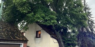 In Holsterhausen stürzte ein Baum auf ein Haus. Foto: Feuerwehr Essen