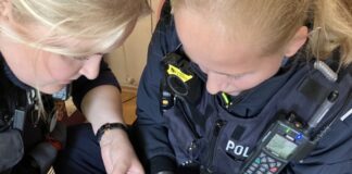Bei einem Einsatz in einer Wohnung fanden Polizeibeamte ein völlig unterkühltes Katzenbaby und brachten es in eine Tierklinik. Foto: Polizei