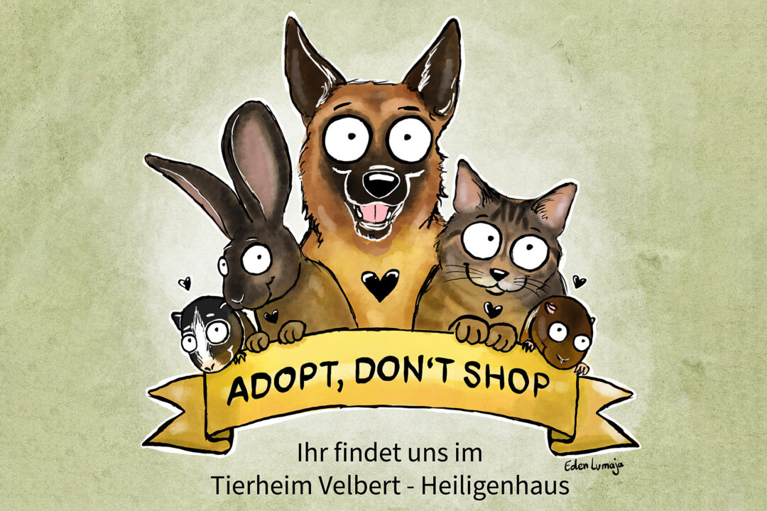 Nicht kaufen sondern aufnehmen - im Tierheim Velbert warten viele Hunde und Katzen auf ein neues Zuhause. Grafik: Tierheim