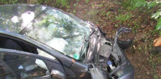 Der Wagen krachte frontal gegen einen Baum. Foto: Polizei