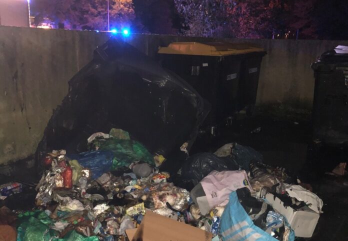 In der Nacht zu Montag wurde ein Müllcontainer durch einen Brand schwer beschädigt. Foto: Polizei