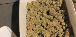 Die Polizei stellte mehrere Eimer voller Cannabis sicher. Foto: Polizei