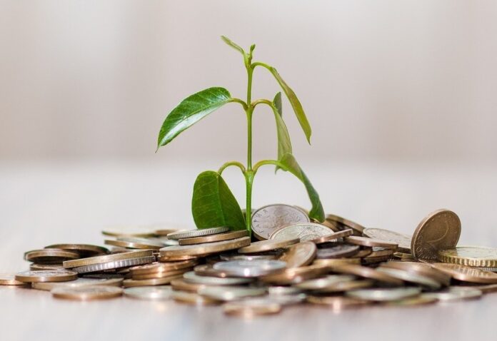 Selbstständige können durch Anlagestrategien ihr Geld vermehren. Foto: pixabay