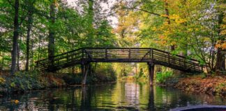 Im kommenden Jahr plant der Bürgerverein Wülfrath eine Fahrt in den Spreewald. Foto: pixabay