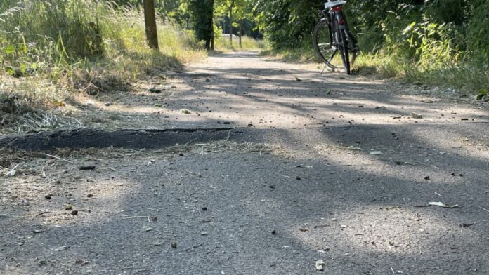 Aktuell weist der Radweg entlang der Mettmanner Straße erhebliche Wurzelschäden auf. Foto: CDU-Fraktion Ratingen