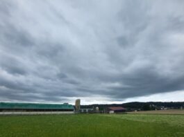Orkanböen in NRW möglich: Neue Wetterwarnung für den Kreis Mettmann Gewitter ziehen auf. Foto: Volkmann