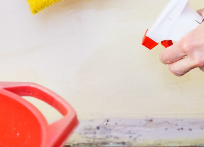 Schimmelvorbeugung kann auch ohne Chemie funktionieren. Foto: VZ NRW/Adpic