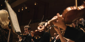 Eine Aufnahme aus einem Konzert der Essener Philharmoniker. Foto: Isabel Rios Machado