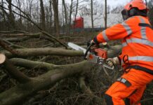 Der Startschuss für die Gehölzpflege fällt. Foto: Susanne Schlenga/Autobahn Westfalen