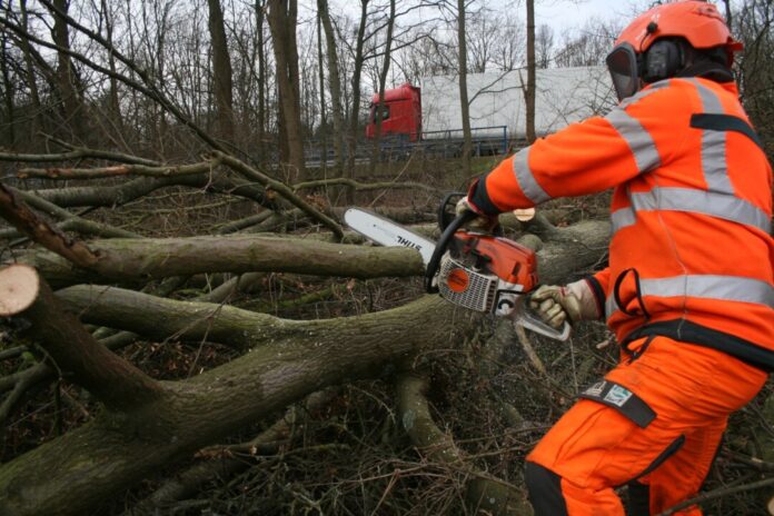 Der Startschuss für die Gehölzpflege fällt. Foto: Susanne Schlenga/Autobahn Westfalen