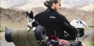 Martin Klauka liest am 18.09.2023 in der Erkrather Stadthalle aus seinem Buch „Einmal mit der Katze um die halbe Welt“. Buchcover (Ausschnitt): Gräfe und Unzer Verlag