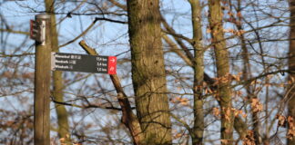 Die Wanderung führt von Neviges zum Jüdischen Friedhof. Foto: Volkmann