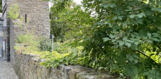 Nach einstimmigem Votum der Stadtrats soll die Stadtmauer bis zur Lintorfer Straße saniert werden. Foto: CDU-Fraktion Ratingen