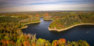 Der Herbst lockt mit bunten Farben und der schönen Natur. Foto: Holge Hage/Das Bergische