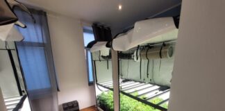 Die Cannabis-Plantage in dem Haus an der Bechemer Straße. Foto: Polizei