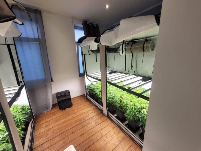 Die Cannabis-Plantage in dem Haus an der Bechemer Straße. Foto: Polizei
