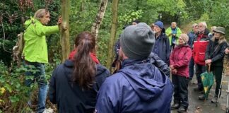 Der Waldspaziergang findet mit Holger Sticht statt. Foto: Grüne