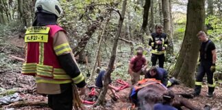 Rund 30 Einsatzkräfte waren vor Ort aktiv. Foto: FW Mettmann