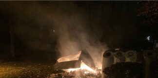 Der Altpapiercontainer brannte vollständig aus. Foto: Polizei