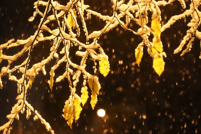 Die Temperaturen bewegen sich weiterhin deutlich unter dem Gefrierpunkt. Foto: Volkmann