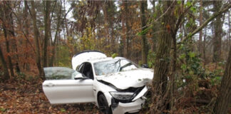 Der BMW kollidierte frontal mit einem Baum. Foto: Polizei