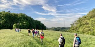 Anbieter von Wandertouren können ab sofort kreative Ideen vorschlagen. Foto: Michael Jendrysek