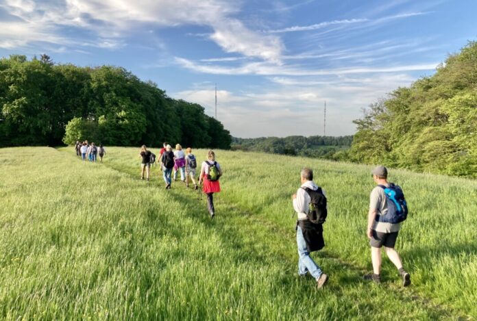Anbieter von Wandertouren können ab sofort kreative Ideen vorschlagen. Foto: Michael Jendrysek