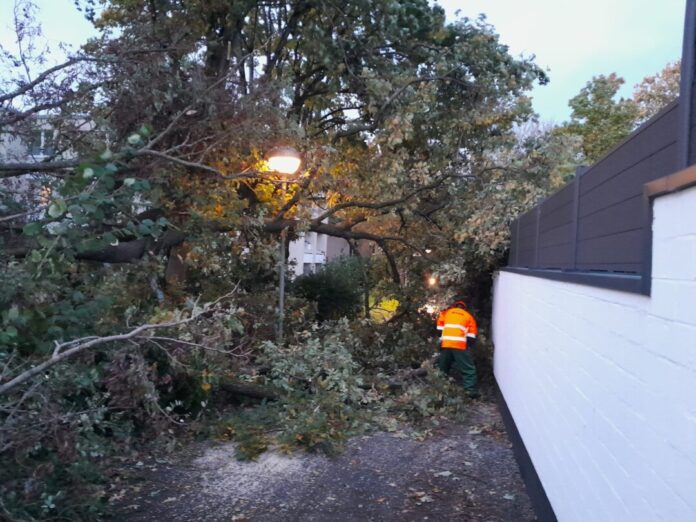 Ein umgestürzter Baum in Erkrath-Hochdahl. Foto: FW Erkrath