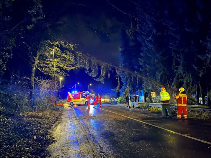 Wegen eines umgestürzten Baumes war die Ratinger Straße für rund eine halbe Stunde komplett gesperrt. Foto: Feuerwehr Heiligenhaus