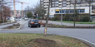 Auf der Mittelinsel eines Kreisverkehrs am Berliner Ring wurde ein Baum beschädigt. Foto: Polizei