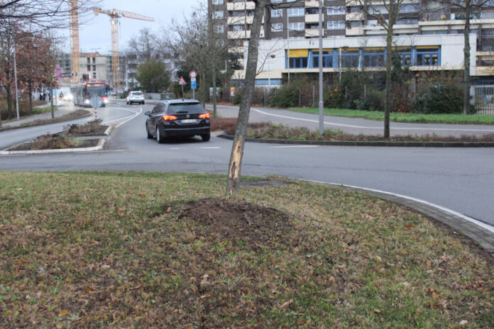 Auf der Mittelinsel eines Kreisverkehrs am Berliner Ring wurde ein Baum beschädigt. Foto: Polizei