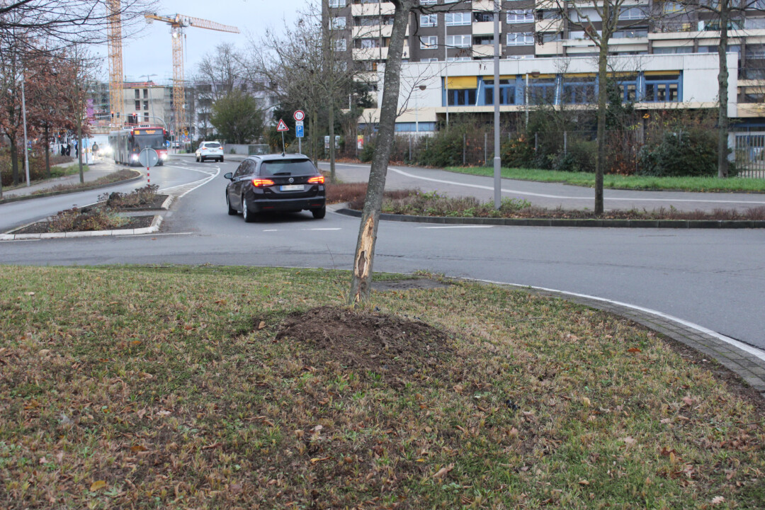 Auf der Mittelinsel eines Kreisverkehrs am Berliner Ring wurde ein Baum beschädigt. Foto: Polizei