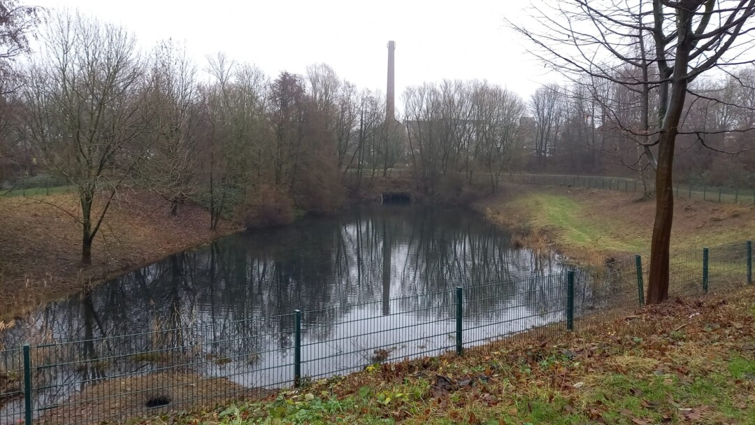 Das Regenrückhaltebecken in der Maikammer. Foto: Kling