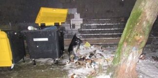 Müllcontainer bei Nacht mit verstreutem Abfall und Schnee.
