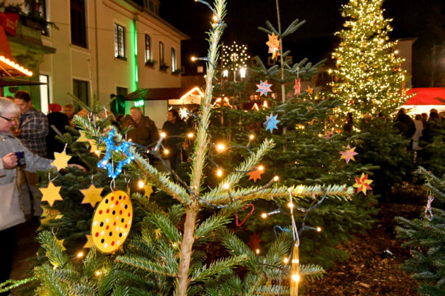 Weihnachtsmarkt mit beleuchteten Tannenbäumen und Besuchern.