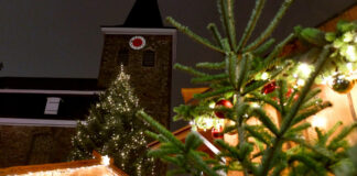 Weihnachtsmarkt mit beleuchtetem Baum nachts.