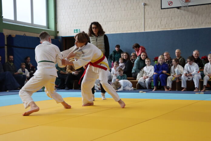 Viele Zuschauer kamen, um die Judoka bei den Kämpfen der Stadtmeisterschaften anzufeuern. Foto: TBW