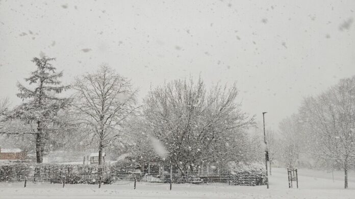 Der Schneefall sorgt für Beeinträchtigungen im ÖPNV. Foto: Volkmann
