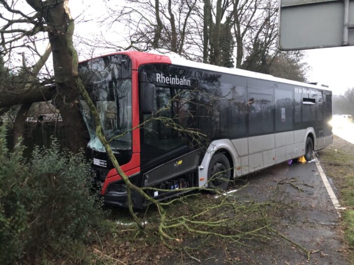 Der Bus prallte frontal gegen einen Baum. Foto: Polizei