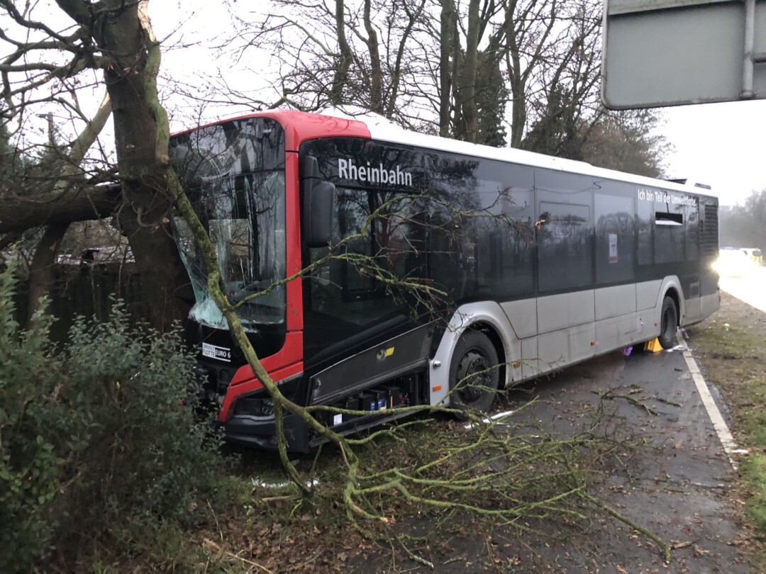 Der Bus prallte frontal gegen einen Baum. Foto: Polizei