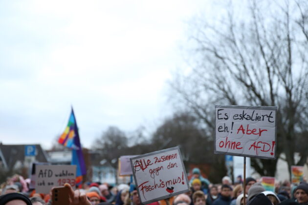 Demonstration gegen Rechts, Plakate, Menschenmenge