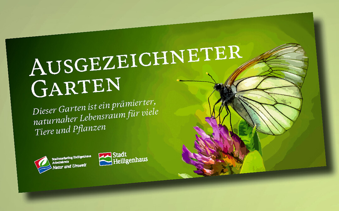 Prämierter Garten mit Schmetterling auf Blüte.