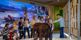 Die Führung richtet sich an Familien. Foto: Neanderthal-Museum