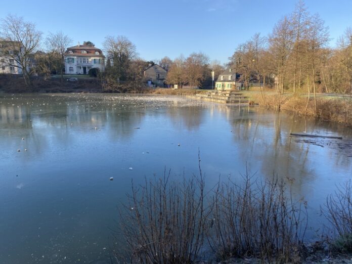 Der Goldberger Teich ist zugefroren. Foto: Kreisstadt Mettmann